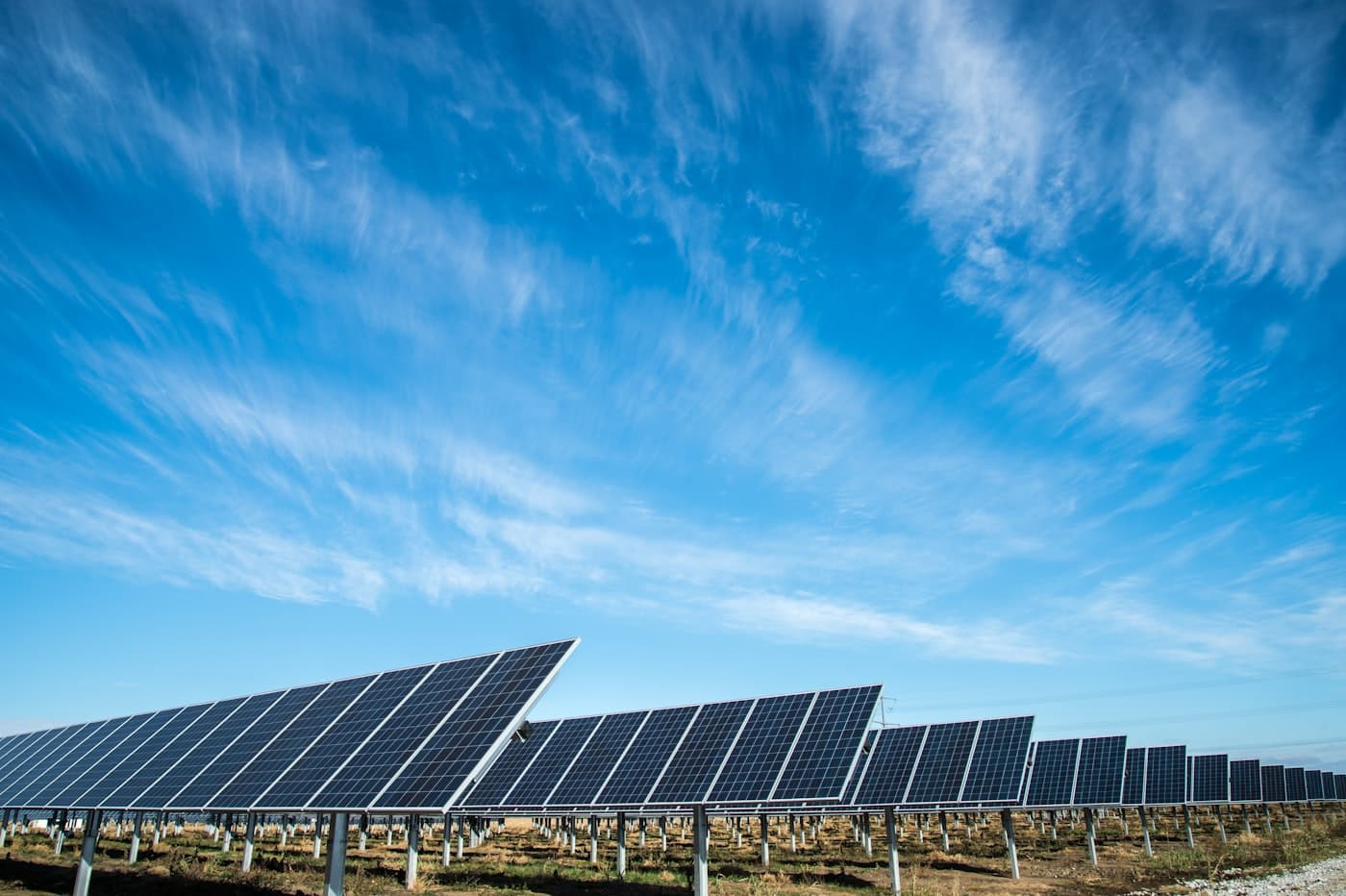 A field of solar panels at midday